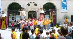 Acampallengua2009.JPG, 64 KB