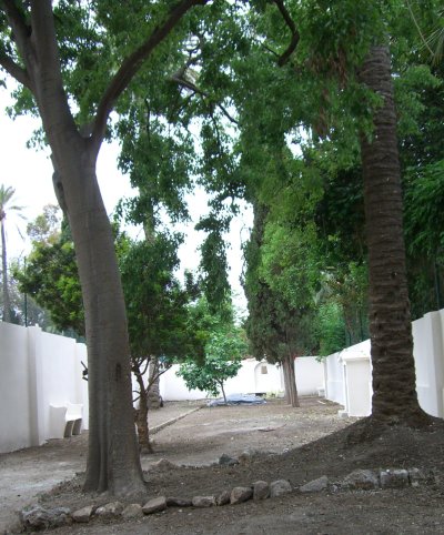 casalcover.jpg, 60 KB