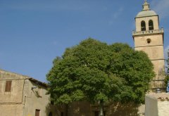 rall2007_algaidaranda1.JPG, 57 KB