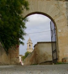 rallareal.JPG, 46 KB