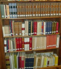 rallareal15.JPG, 51 KB